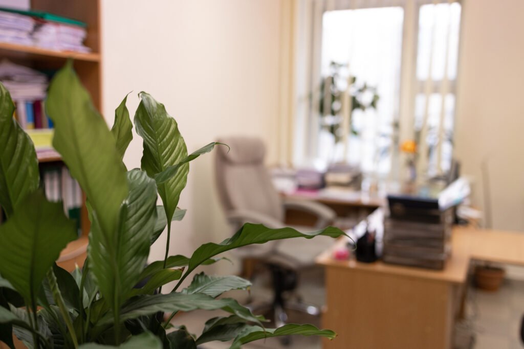 dodorisant-plante-entreprise-de-nettoyage