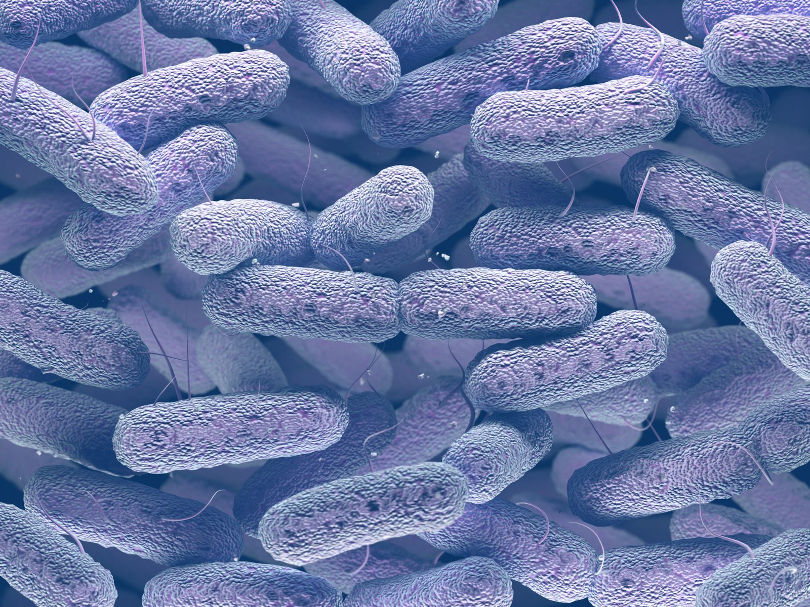 bacterie-dans-les-meubles-et-bureaux-enleves-par-societe-de-nettoyage